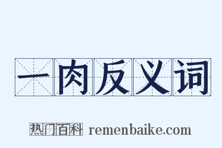 一肉反义词是什么意思的图片